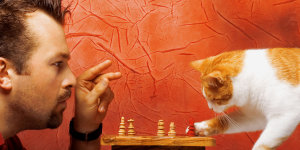 Котофей Тимофей